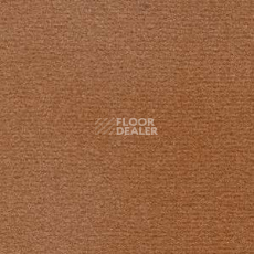 Ковролин Radici Nexus Terracotta 8215 фото 1 | FLOORDEALER